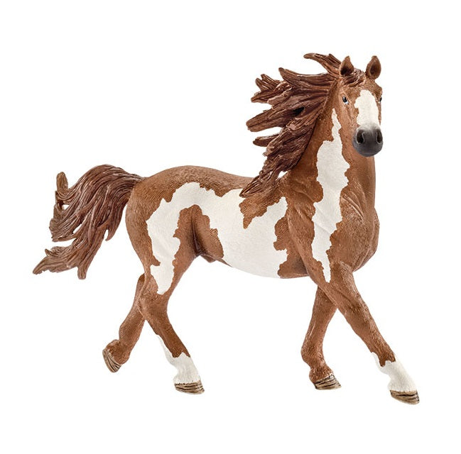 Jument Beauty Horse Criollo Definitivo