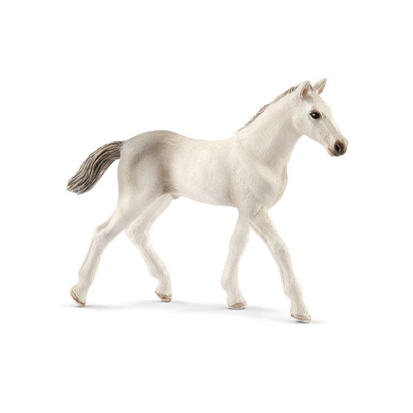Jument Beauty Horse Criollo Definitivo