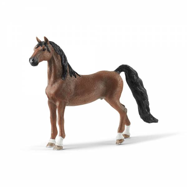 Jument Beauty Horse Criollo Definitivo