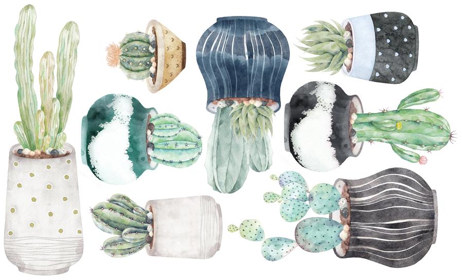 Kaktus Set