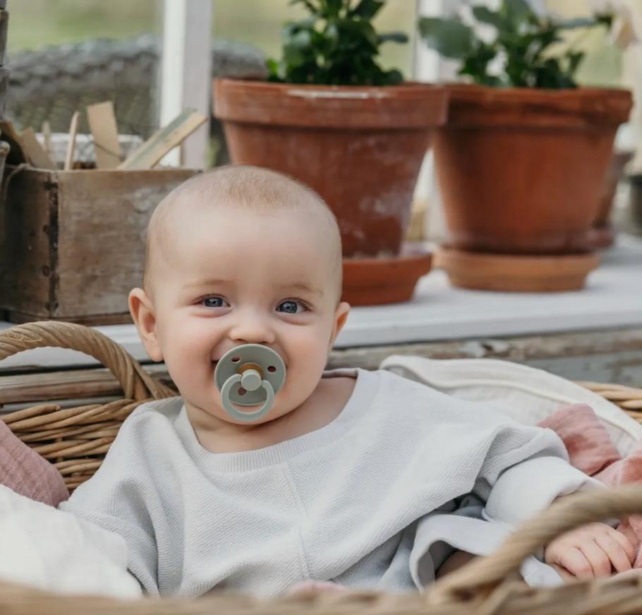 Rory Cap Australie - Coquillage